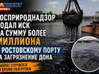 Росприроднадзор подал иск на сумму более миллиона к ростовскому порту за загрязнение Дона
