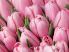 Весна — время для тюльпанов: специалисты рассказали ростовчанам о том, как создать яркую клумбу