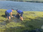 Утонувшего мужчину нашли в реке Большая Куберле
