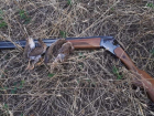 Охотиться в Ростовской области теперь будут по новым правилам
