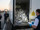 4,5 тонны «левой» рыбы из Ростова задержал Россельхознадзор на трассе в Краснодарском крае