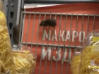 Веселая возня беззаботных мышей на полках с макаронами ростовского супермаркета взбесила покупателей