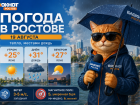 В Ростове 19 августа потеплеет до +31, днем возможен дождь