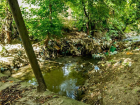 В Ростове очистят ручей Безымянный, протекающий через Зоопарк