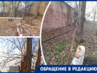 Рухнувшее в центре Ростова дерево оставило без газа жителей многоэтажки