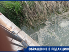 «Всем вместе спасать надо»: в Ростовской области из-за канализационных вод гибнет река Быстрая