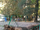 Жара спасла малышей от убийственного дерева на детской площадке Ростова