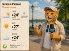 Слабая магнитная буря и легкий ветер ожидается в Ростове 25 июня