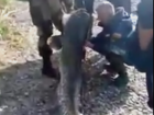 Гигантского сома поймали и сняли на видео рыбаки в Ростове