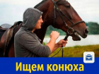 На постоянную работу требуется конюх