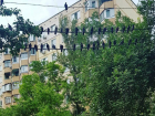 «Опасно» нависшая над иномаркой стая голубей до слез рассмешила «суеверных» жителей Ростова