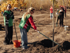 Сбер принял участие в закладке парка в честь 80-летия Победы и Дне древонасаждения в Ростове