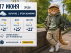 Слабый ветер и переменная облачность ожидается в Ростове