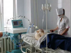Военнослужащий после взрыва боеприпасов оказался с переломами ног в госпитале Ростова-на-Дону 