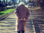 Старушка с молотком орудует в Ростове на Западном