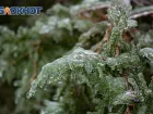 Штормовое предупреждение объявили в Ростовской области
