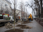 В центре донской столицы высадили новые деревья