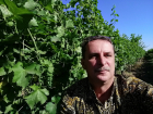 «Доходов нет, а расходы – те же самые»: ростовский винодел рассказал о проблемах отрасли