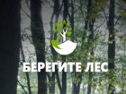 Уникальное мобильное приложение поможет спасти лес Ростова-на-Дону от пожаров 