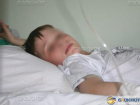 В Ростовской области двое подростков попали в больницу, отравившись дурман-травой