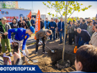 В День древонасаждения более трех тысяч деревьев и шесть тысяч кустарников высадили в Ростове