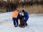 В Ростовской области рыбак едва не утонул, провалившись под лед