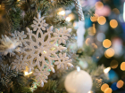 Самую высокую новогоднюю ель Ростовской области установят в Новочеркасске