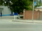 Грандиозный «ляп» дорожных рабочих у пешеходного перехода в Ростове рассмешил горожан и попал на видео