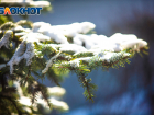 В Ростове во вторник ожидается мороз и мокрый снег