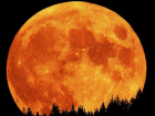Кроваво-красное полнолуние увидят предстоящей ночью ростовчане