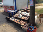 Ветеринары в Ростове задержали 181 килограмм рыбы