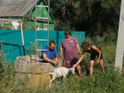 В Ростовской области спасатели достали козленка из 10-метрового колодца