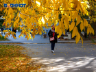 В Ростове на этой неделе ожидается ясная и прохладная погода