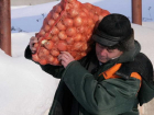 Овощного предпринимателя из Ростовской области обманули на 30 тонн лука