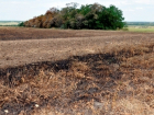 В Ростовской области из-за стрельбы на Украине загорелось поле вблизи МАПП Волошино