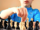 Шахматы все больше увлекают юных ростовчан 