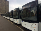 Власти Ростова закупят 100 новых автобусов при помощи кредита от ВЭБ.РФ