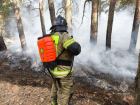 В Ростовской области тушат крупный лесной пожар на площади в 52 га