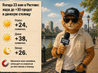 Жара до +28 накроет Ростов 23 мая