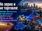Не зерно и не торговля: эксперт рассказала на чем реально зарабатывает Ростов-на-Дону и Ростовская область
