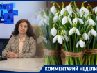 Директор ботанического ЮФУ заявила, что каждый купленный букетик подснежников это лепта в их уничтожение