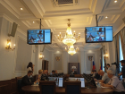 Малое предпринимательство в Ростовской области растет за счет самозанятых