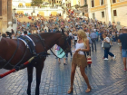 Конь-фетишист атаковал ростовскую красотку Викторию Лопыреву в Италии