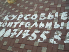 Объявление об изготовлении курсовых появилось на тротуарной плитке в центре Ростова