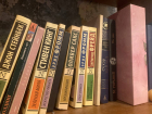 Библиотеки Ростовской области убирают из доступа книги иноагентов