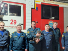 Кот-пожарный из Новочеркасска стал донором для своего друга