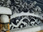 Снег накрыл Ростовскую область в ночь на 11 марта