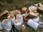 Природоохранная прокуратура Ростова выяснит, кто выбросил ядовитые отходы в Кумженскую рощу