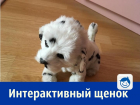 Почти живого интерактивного щенка могут приобрести жители Ростова