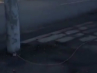 Брошенные на тротуаре оголенные провода угрожают жизни прохожих в Ростове